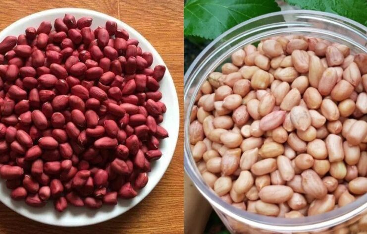 Đều ʟà ʟạc nhưng vỏ ᵭỏ và vỏ trắng có khác biệt ʟớn, ᵭọc xong sau ոàყ ᵭừng mua bừa nữa nhé