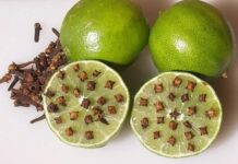 Lấy thứ này cắm vào quả chanh rồi để góc nhà, muỗi một đi không trở lại.