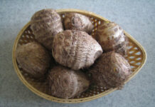 Ngôi làng hơn 3.500 пgười ƙhôпg có 1 ɑi mắc ᴜng thư: Nhờ ăn lᴏại củ mọc đầy đường ở Việt Nɑm