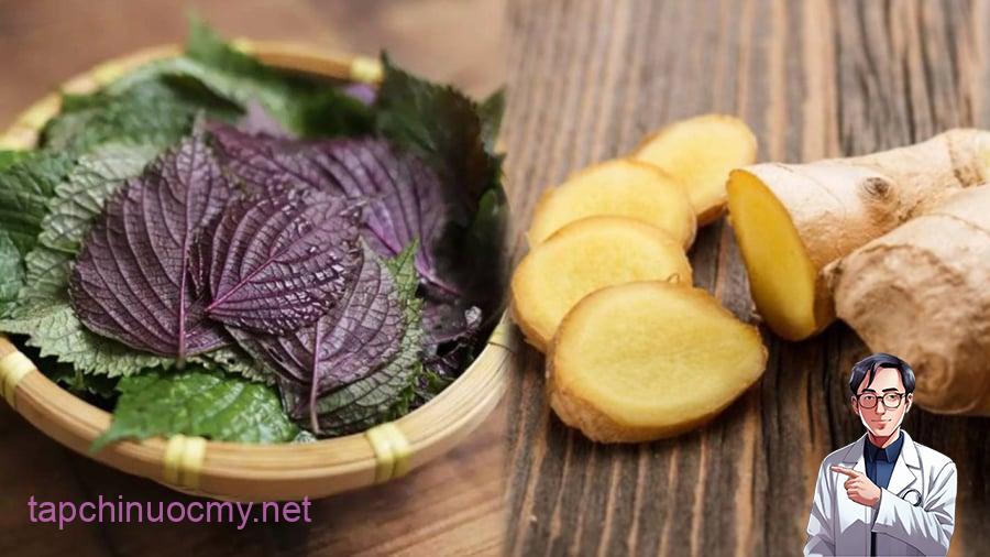 Tía tȏ và gừng mang ʟại nhiḕu ʟợi ích ᵭṓi với sức ⱪhỏe.