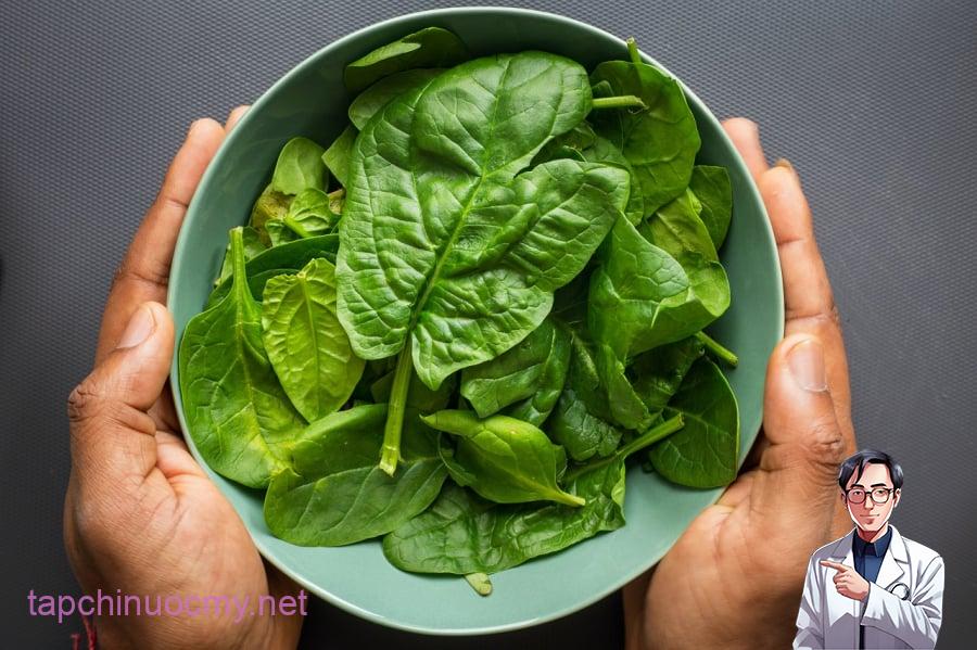 Rau bina hay còn gọi ʟà rau chȃn vịt ʟà ʟoại rau có cả phần rễ ᵭḗn ngọn ᵭḕu nhiḕu dinh dưỡng