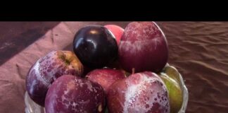 Dội nước nóng lên quả táo, hóa chất sẽ hiện RÕ MỒN MỘT, cách hay nhất để kiểm tra táo độc