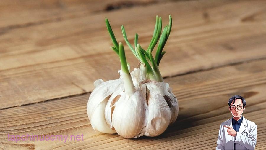 Tỏi mọc mầm có thể ăn được.