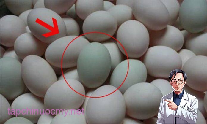 Trứng vịt nên chọn “vỏ trắng” hay “vỏ xanh”? Có sự khác biệt rất lớn, nếu biết bạn sẽ không bao giờ chọn sai
