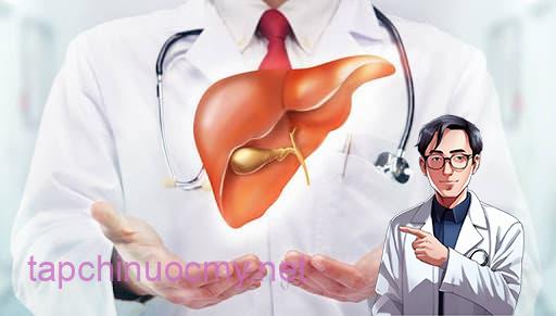 giải độc gan, gan nhiễm độc, gan nhiễm mỡ