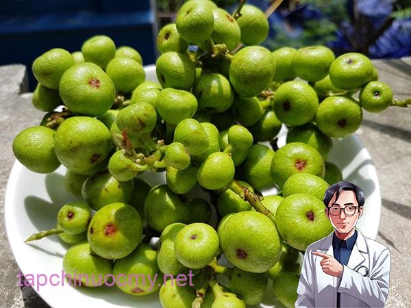 Quả sung tốt cho sức khỏe nhưng đem phơi khô uống công dụng có thật "thần kỳ"?