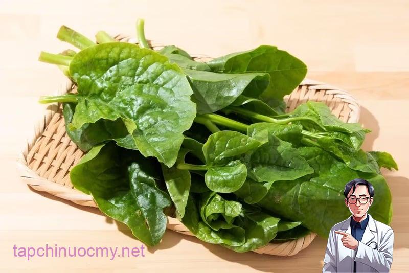 Rau mồng tơi không chỉ ngon miệng mà còn chứa nguồn dưỡng chất dồi dào, đặc biệt là collagen tự nhiên. 