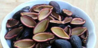 Loại quả ‘đắt hơn thịt’, ‘bùi hơn lạc’ bán đầy chợ Việt vừa chống K lại hạ đường huyết hiệu quả