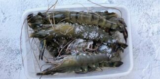 Đừng bỏ ngay tôm vào ngăn đá: Thêm 1 thìa này vào, tôm để cả tuần vẫn ngon ngọt, không chảy nước thâm đen