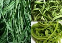 Bật mí loại rau đắt hơn thịt, bổ ngang nhân sâm, Việt Nam có nhiều nhưng ít người biết để ăn