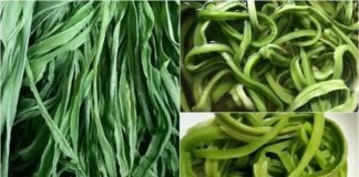 Bật mí loại rau đắt hơn thịt, bổ ngang nhân sâm, Việt Nam có nhiều nhưng ít người biết để ăn