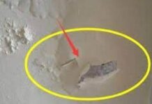 Mẹo xử lý tường nhà mốc lở, bong tróc: Cực dễ, không tốn tiền, nhà nào cũng làm được