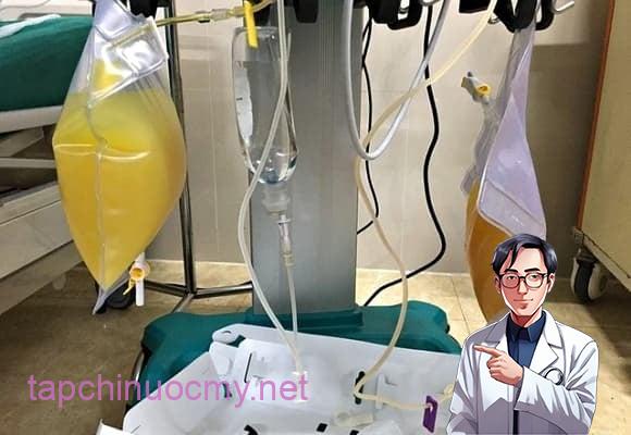 Vào ngày xảy ra sự việc, sau bữa trưa no nê với lợn sữa quay, bà tiếp tục hâm nóng phần còn thừa vào buổi tối.