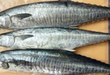 Top 4 loại hải sản được xếp vào nhóm có hàm lượng thủy ngân cao, ai cũng nên biết