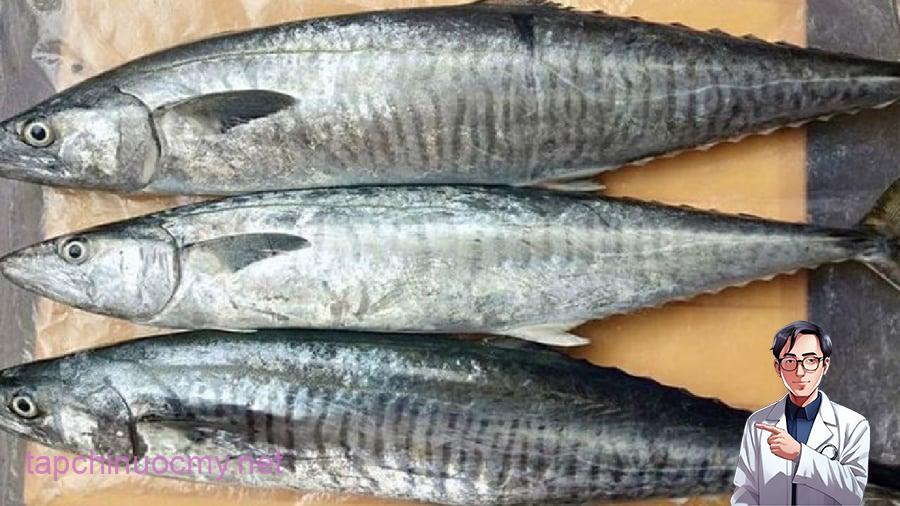 Cá thu vua là loại cá cá nguy cơ chứa hàm lượng thủy ngân cao.