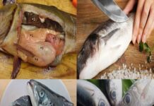 4 loại cá chứa nhiều Chì nhất chợ: Đặc biệt loại thứ 2 cho không cũng đừng lấy