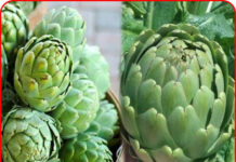 Loại rau giàu chất xơ nhất thế giới được Mỹ công nhận: Việt Nam trồng đầy mà ít người biết ăn