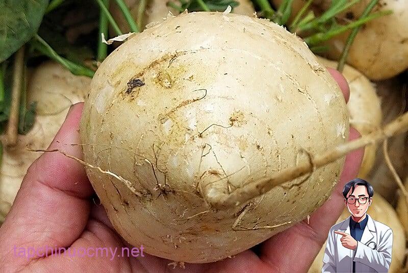 an-cu-dau-buoi-toi-co-beo-khong-5