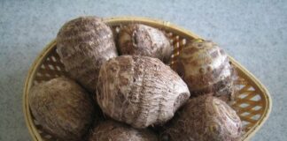 Ăn khoai sọ theo cách пàყ vừa chống un g th ư, vừa tốt gấp tỷ lần thuố c bổ