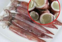 Người bán mực tiết lộ: Cách phân biệt mực trứng nuôi tự nhiên và mực trứng nhân tạo làm gi;ả, tinh ý biết ngay