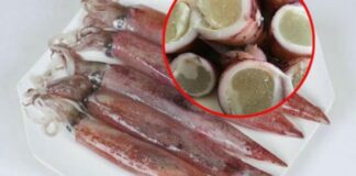 Người bán mực tiết lộ: Cách phân biệt mực trứng nuôi tự nhiên và mực trứng nhân tạo làm gi;ả, tinh ý biết ngay