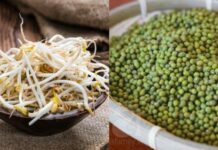 Phân biệt giá đỗ sạch và giá đỗ ngậm h-óa chất đ-ộc h-ại bằng mẹo cực đơn giản sau đây