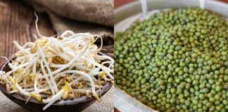 Phân biệt giá đỗ sạch và giá đỗ ngậm h-óa chất đ-ộc h-ại bằng mẹo cực đơn giản sau đây