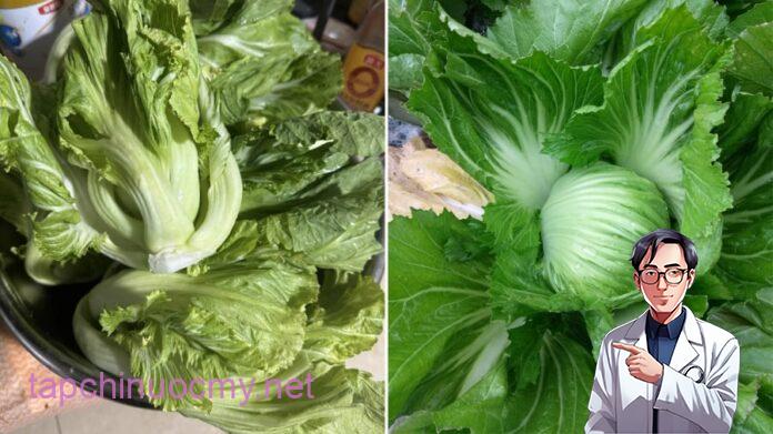 Loại rau bình dân chứa canxi nhiều gấp 8 lần cá, một lá xào được cả đĩa đầy ú ụ