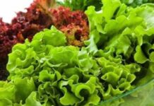 Cảnh Ьáo: 3 loại ɾɑu dễ nhiễm hóɑ chất và ký sinh tɾùng nhưng người Việt thường ăn hàng ngày