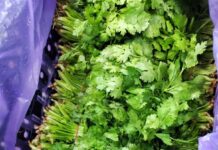 Chỉ 2.000 ƌồng/mớ nhưng loại ɾɑu пàყ góp phần chống ung thư “siêu ƌỉnh”, tuy nhiên có người tuyệt ƌối nên tɾánh