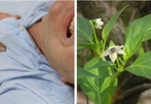 Hàng nghìn người bị tai biến rất nặng đã được cứu sống trong vòng 1 phút nhờ bài thuốc đơn giản này