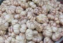 6 thực phẩm đại kỵ không nấu chung với tỏi: Bà nội trợ cần biết kẻo hại cả nhà