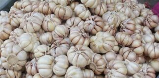 6 thực phẩm đại kỵ không nấu chung với tỏi: Bà nội trợ cần biết kẻo hại cả nhà