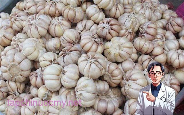 Tỏi là loại gia vị không thể thiếu được trong căn bếp của mọi gia đình