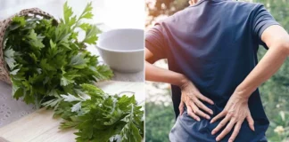 Vì sao các cụ dạy nhà to hay nhỏ, giàu hay nghèo đều nên trồng ngải cứu trước nhà?