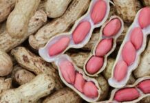 Điều gì xảy ra với cơ thể nếu thường xuyên ăn lạc (đậu phộng)?