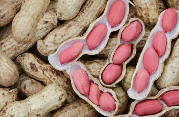 Điều gì xảy ra với cơ thể nếu thường xuyên ăn lạc (đậu phộng)?