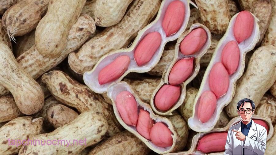 Thường xuyên ăn lạc có lợi ích trong việc bảo vệ sức khỏe tim mạch.