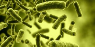 Ngộ độc nặng, t;ử v;on:g chỉ vì ăn cá chép được chế biến kiểu này: Chuyên gia chỉ cách “né” nguy hiểm