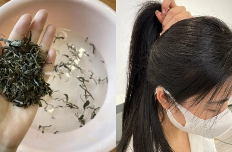 Cách gội đầu bằng nước trà xanh giúp tóc đen bóng, đua nhau mọc