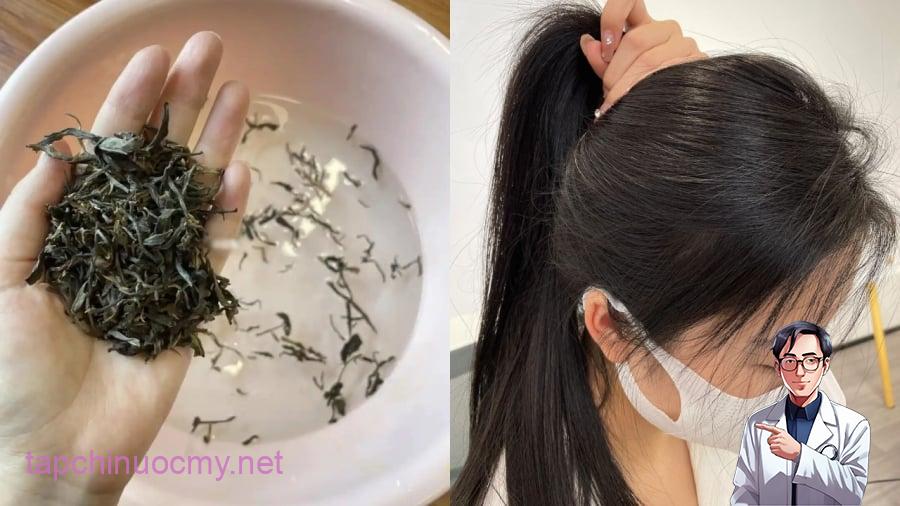 Gội đầu bằng nước trà xanh giúp làm sạch da đầu, kích thích mọc tóc.