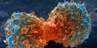 Giật mình tác nhân gây u ng thư mà WHO cảnh báo ở ngay trong nhà bạn