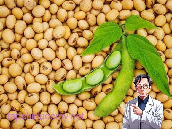 thịt lợn, món ăn kết hợp với thịt lợn, kiến thức