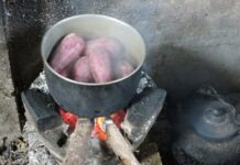 Luộc khoai đừng chỉ dùng nước lạnh, thêm 1 thìa này khoai nhanh chín, ngọt bùi