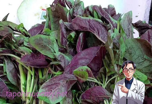 10 loại rau bổ có thể “làm hỏng” thận, bác sĩ cảnh báo, trước khi xào nấu nhớ làm ngay việc này