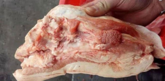 3 phần thịt lợn chứa đầy độc tố và vi khuẩn, rẻ mấy cũng chớ dại mua!