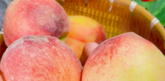 ‘K:ẻ th:ù truyền kiếp’ của quả đào! Bác sĩ cảnh báo: T:uyệt đối không ăn chung với 3 loại thực phẩm n:ày