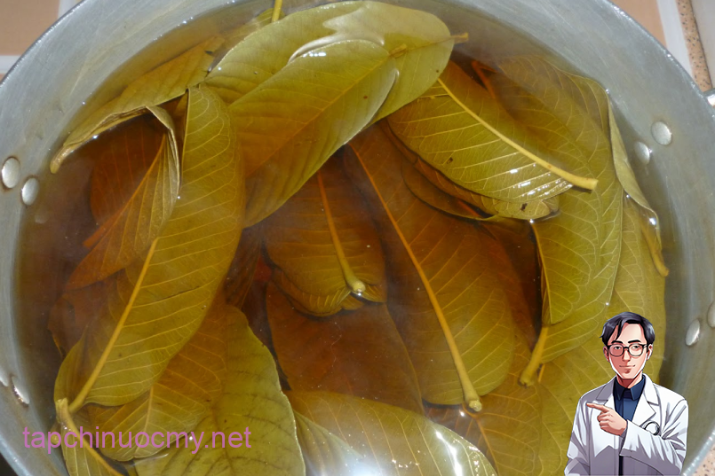 Nước lá ổi có mùi hương thơm, vị chát nhẹ, rất dễ uống