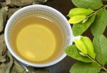 Thường xuyên uống nước lá ổi mỗi ngày, cơ thể sẽ có thay đổi gì?