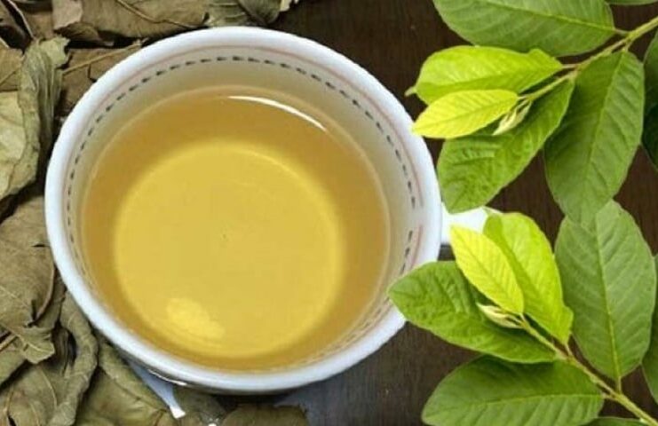 Thường xuyên uống nước lá ổi mỗi ngày, cơ thể sẽ có thay đổi gì?